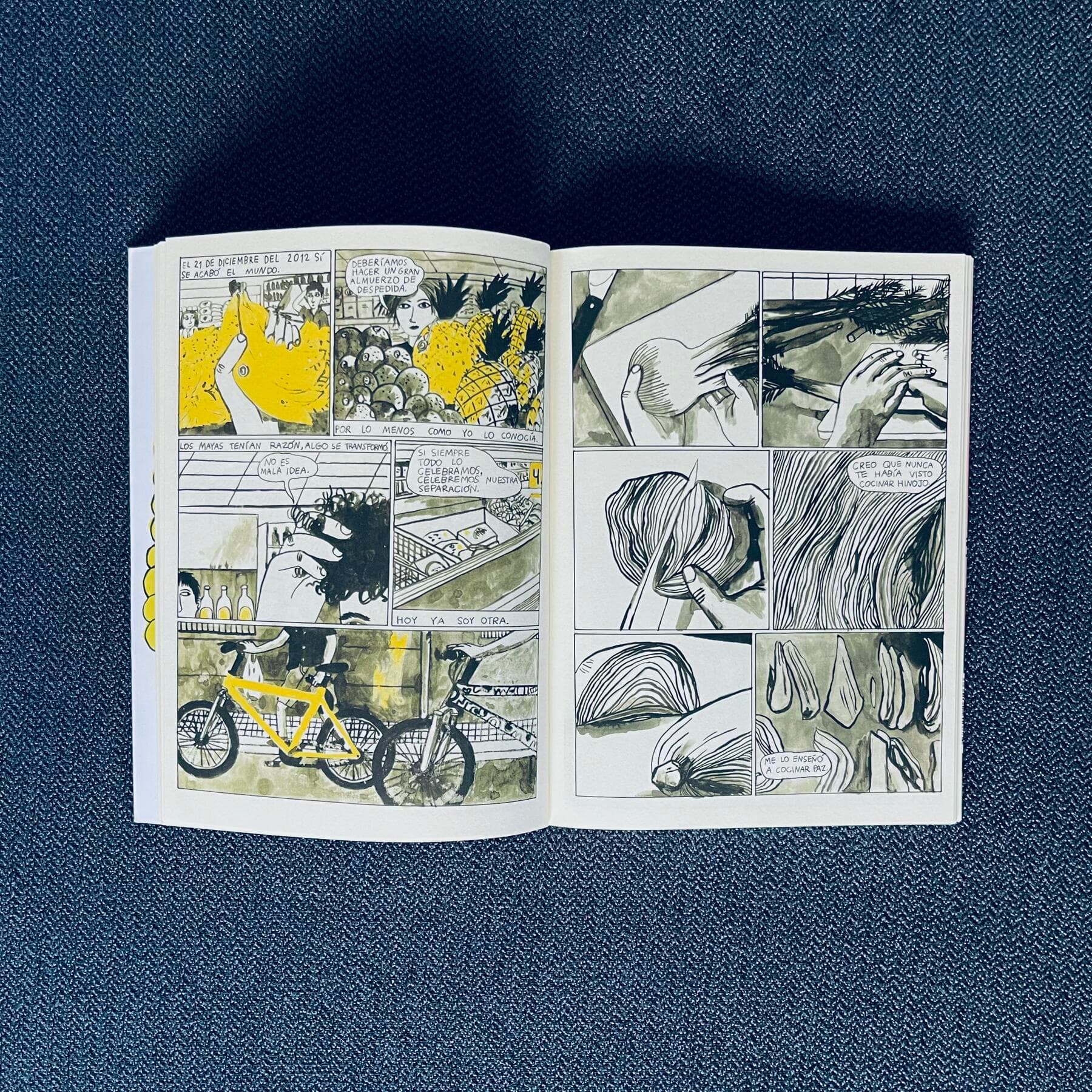 Vistazo del libro: "Todas las bicicletas que tuve"