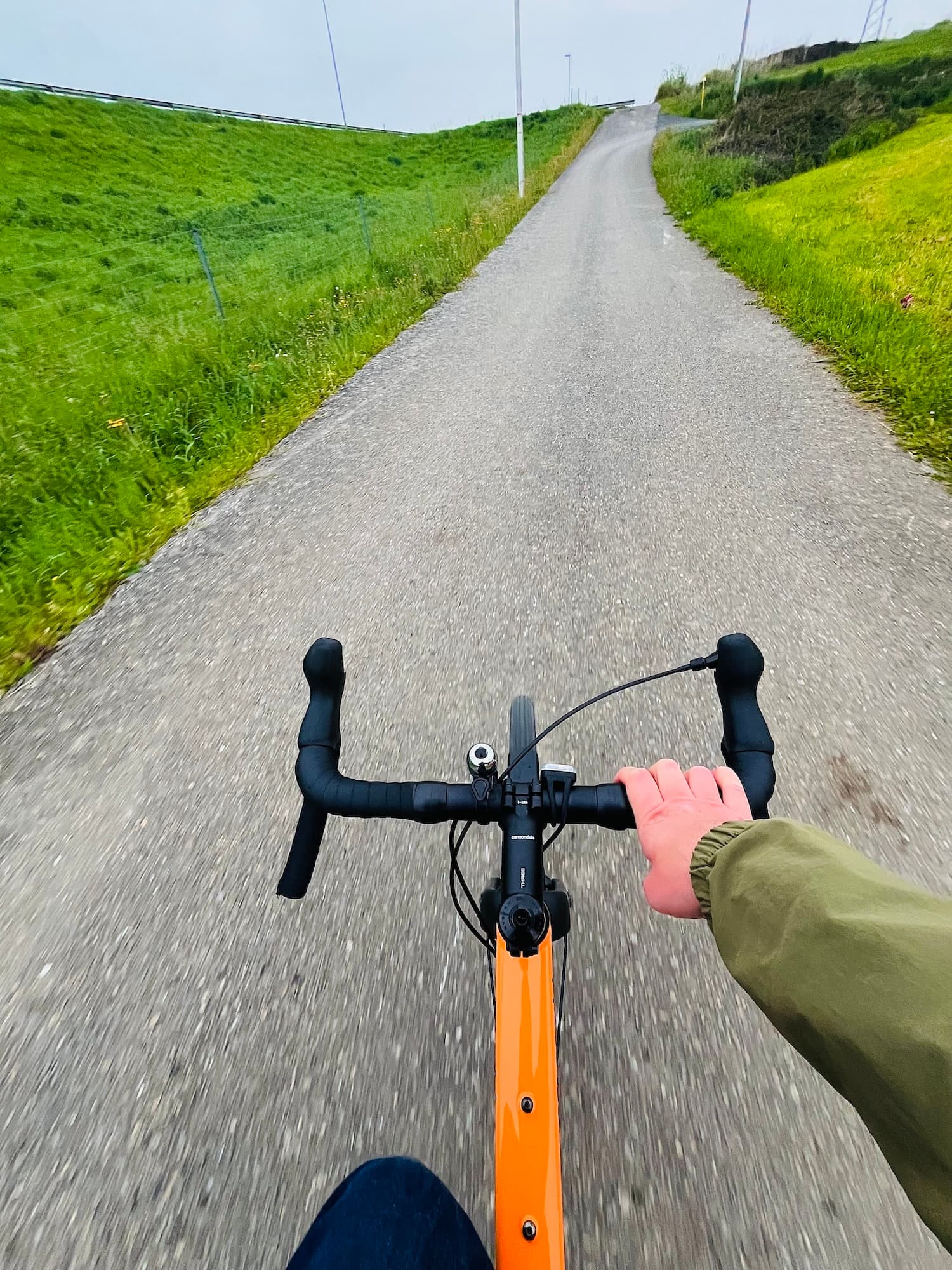 Un sendero que cruzo cuando voy a la oficina Un sendero que cruzo cuando voy a la oficina