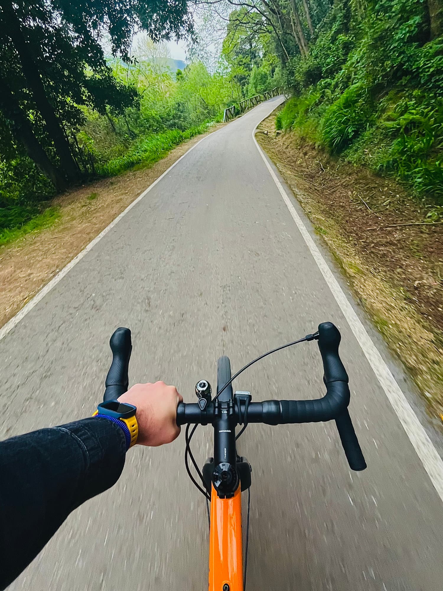 Una senda ciclable a su paso por Cartes. Una senda ciclable a su paso por Cartes.