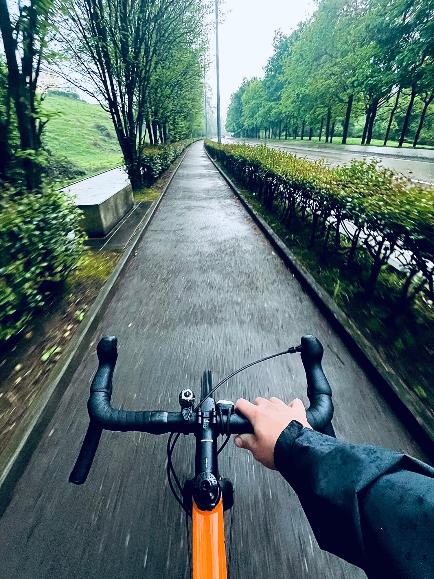 Carril bici, al lado de mi casa Carril bici, al lado de mi casa
