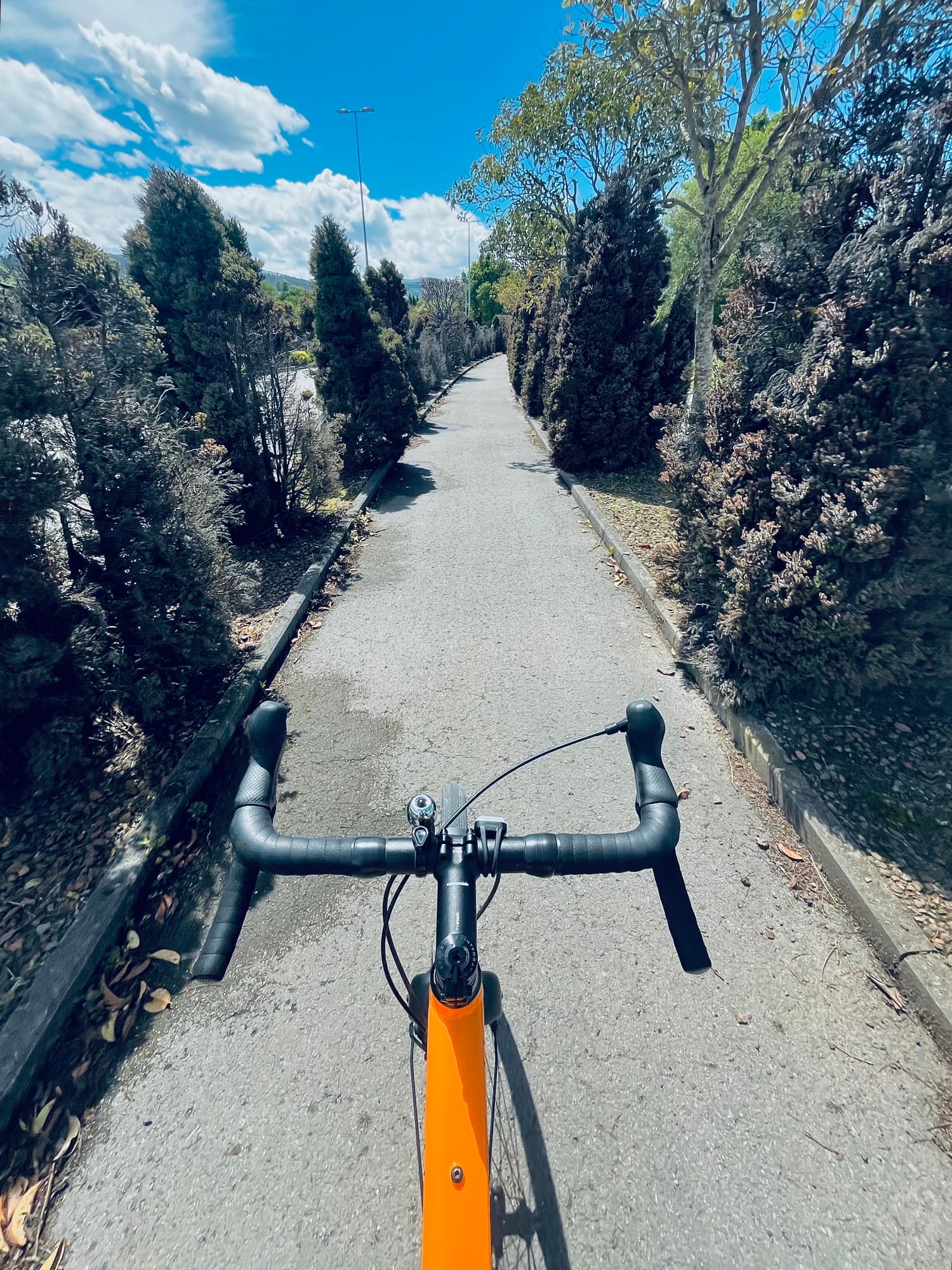Un carril bici. Un carril bici.