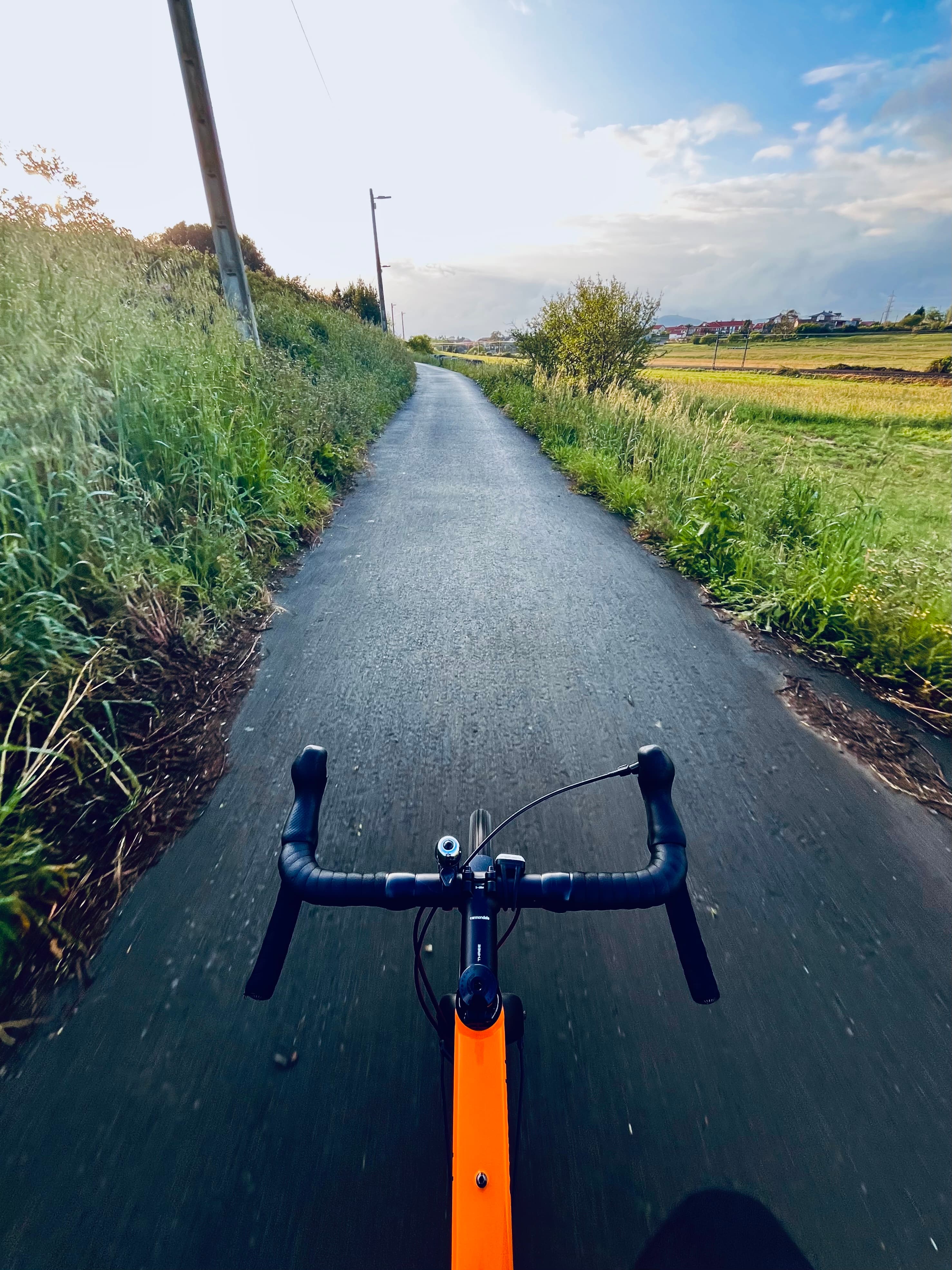 Una carretera secundaria. Hay mucho verde a ambos lados. Amanece. Una carretera secundaria. Hay mucho verde a ambos lados. Amanece.