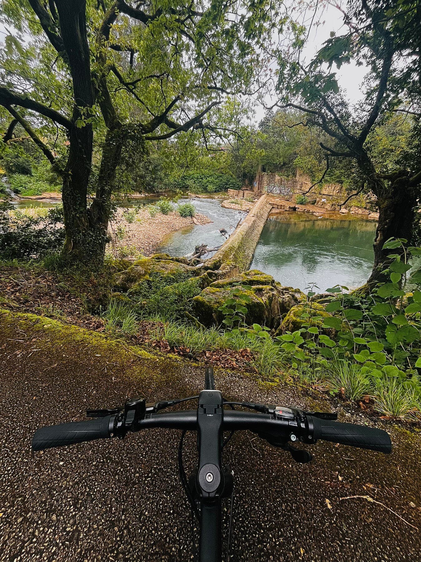 Mi bicicleta al lado del río Saja Mi bicicleta al lado del río Saja