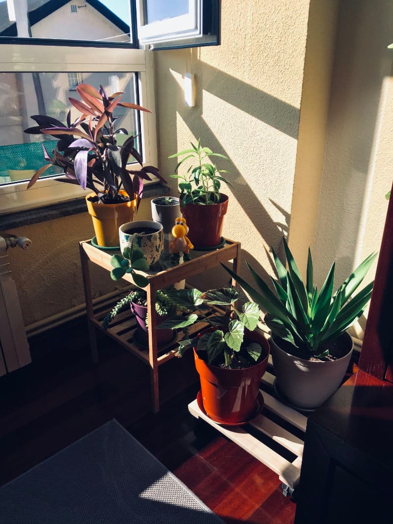 Fotografía hecha en 2020 Fotografía hecha en 2020