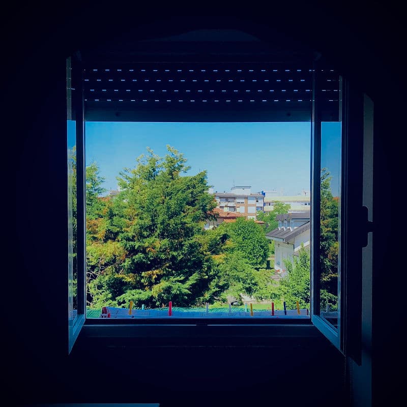 Fotografía hecha en 2020 Fotografía hecha en 2020