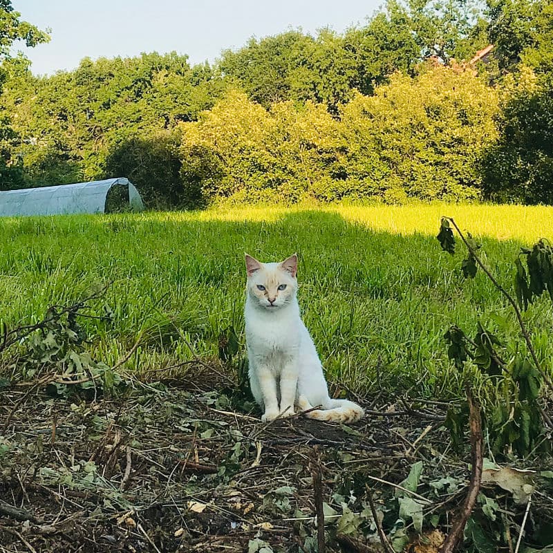 Fotografía hecha en 2020 Fotografía hecha en 2020