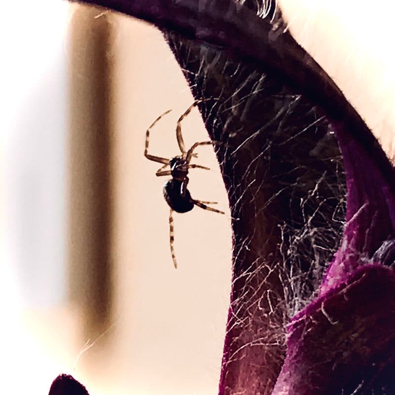 Fotografía hecha en 2020 Fotografía hecha en 2020