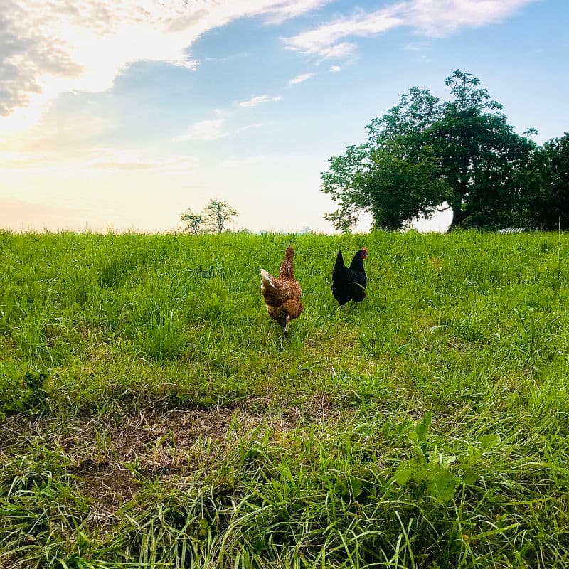 Fotografía hecha en 2020 Fotografía hecha en 2020
