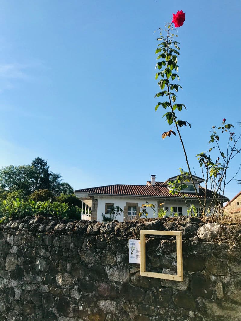 Fotografía hecha en 2020 Fotografía hecha en 2020