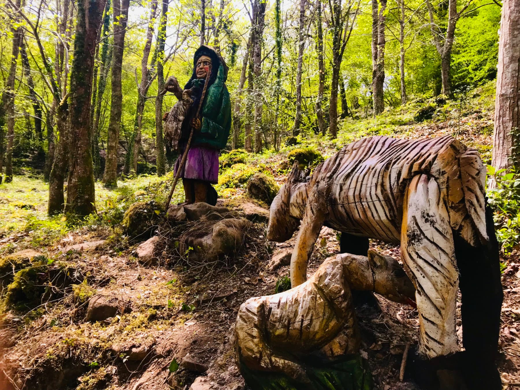 Visita al bosque de la mitología cántabra Visita al bosque de la mitología cántabra