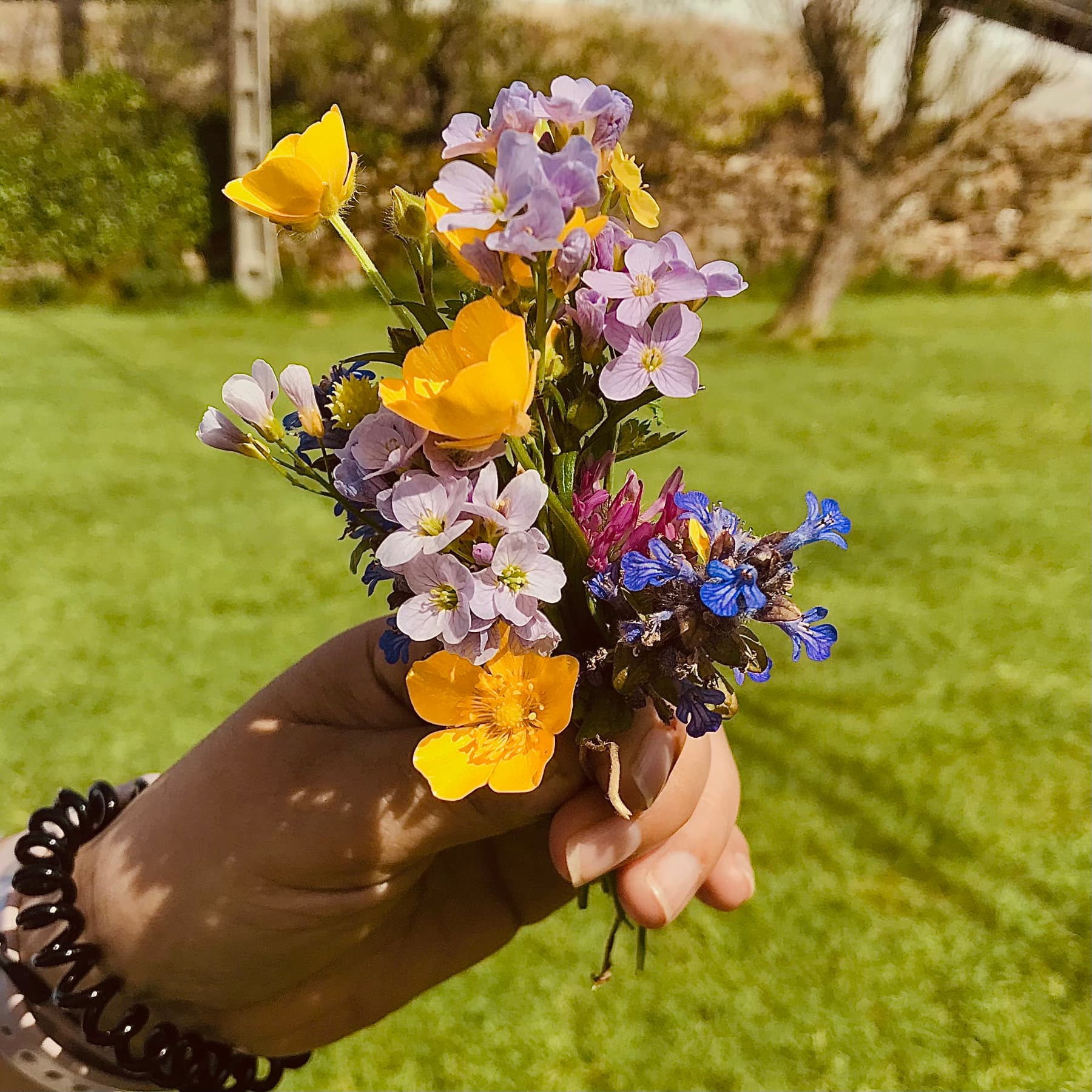 Un ramo de flores silvestres Un ramo de flores silvestres