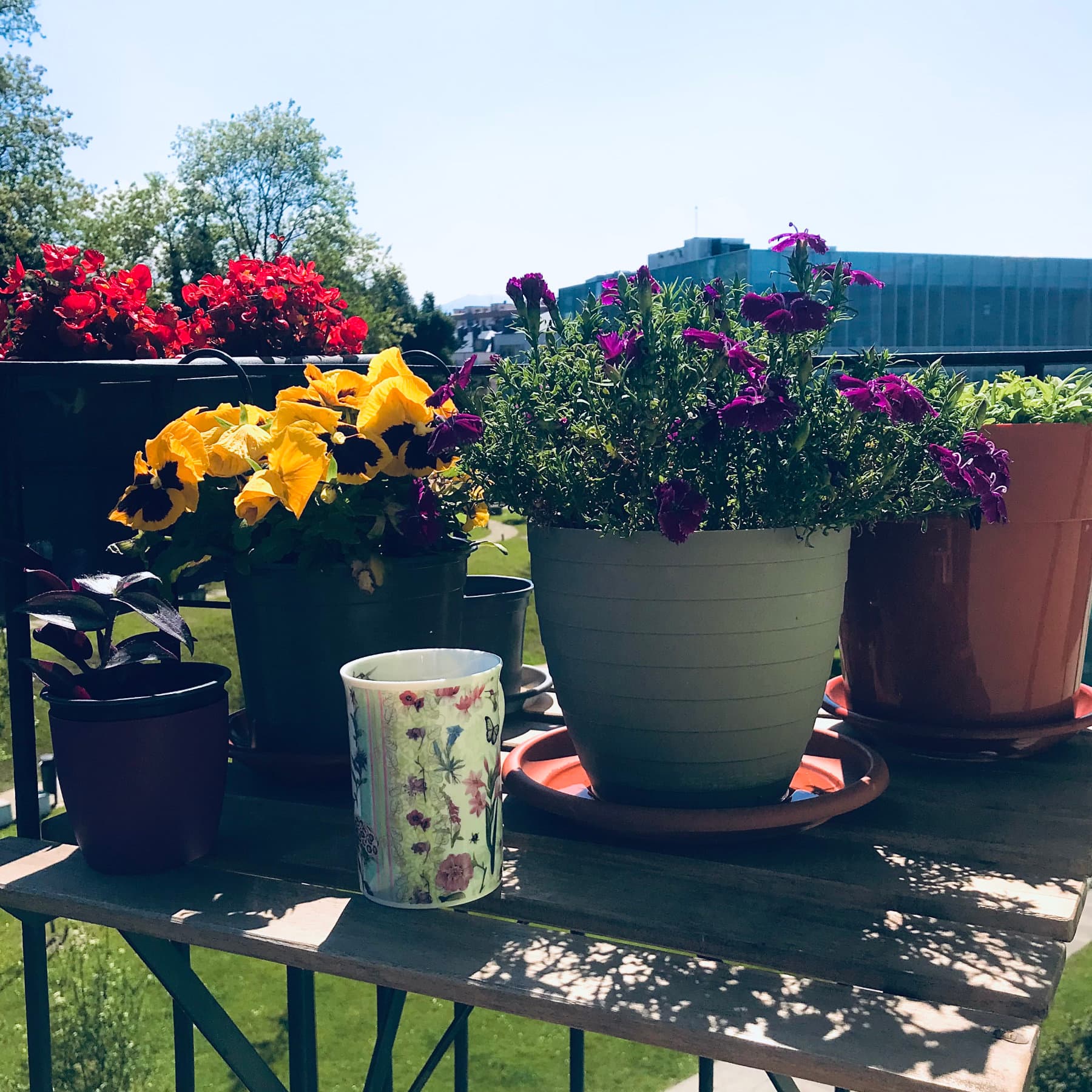 Bodegón de flores Bodegón de flores