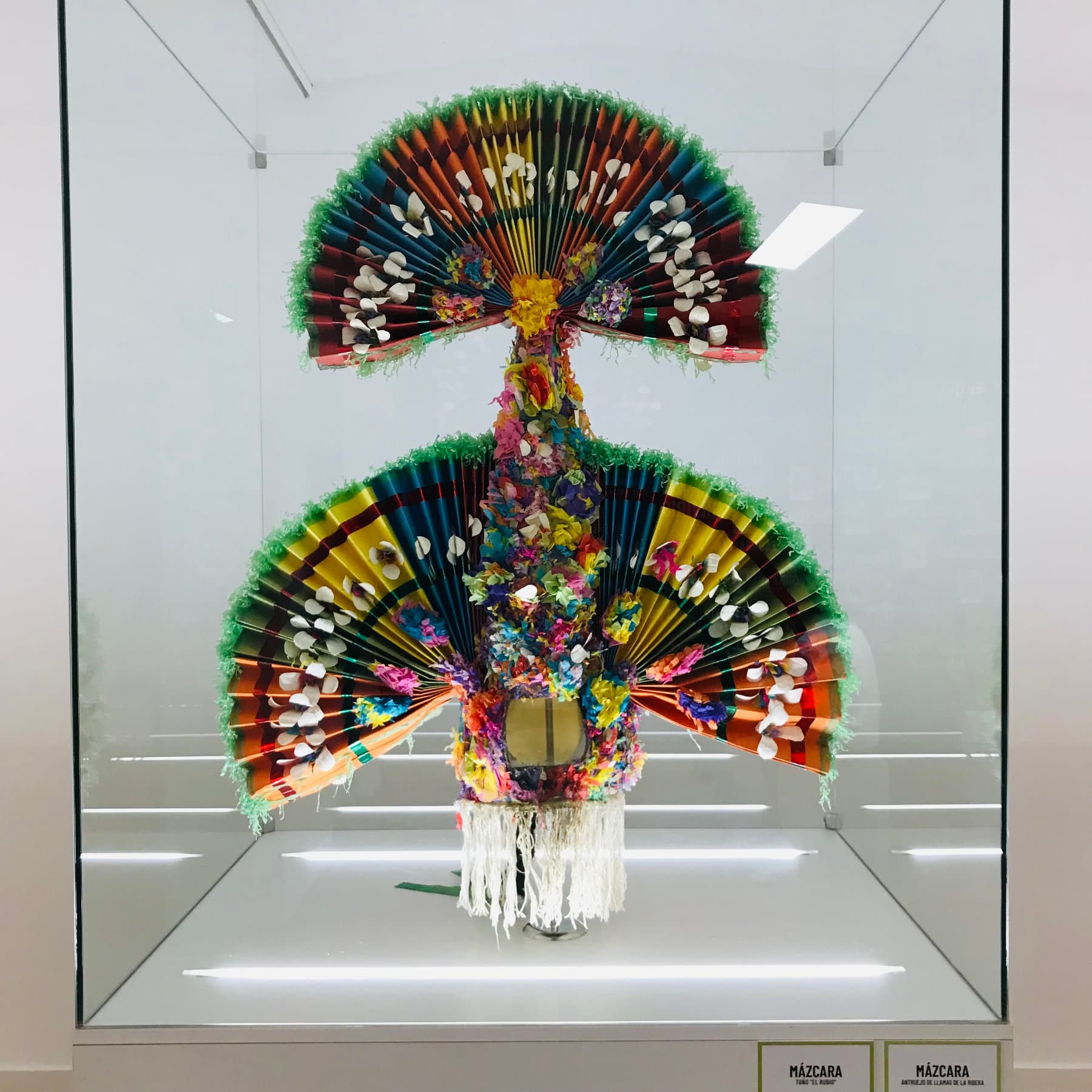 Una mázcara de Llamas de la Ribera Una mázcara de Llamas de la Ribera