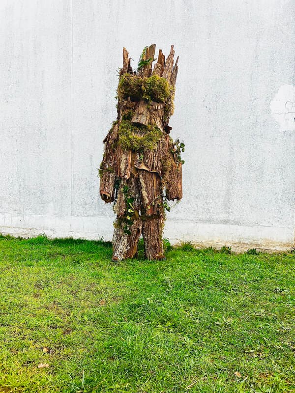 Árbol de La Vijanera Árbol de La Vijanera