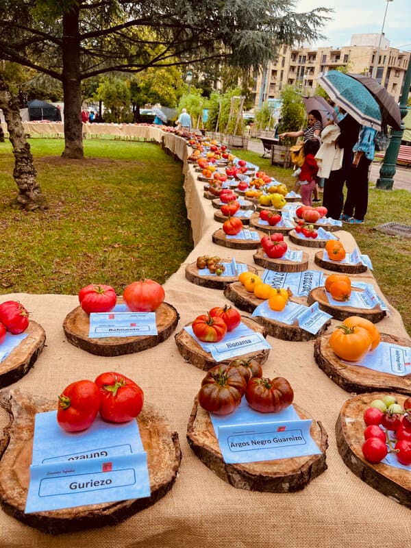Feria del Tomate en Torrelavega Feria del Tomate en Torrelavega