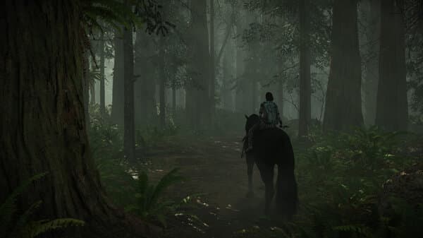 Shadow of the Colossus: dentro de un bosque Shadow of the Colossus: dentro de un bosque