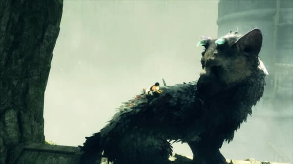 Last guardian: Trico ayudando al niño protagonista Last guardian: Trico ayudando al niño protagonista