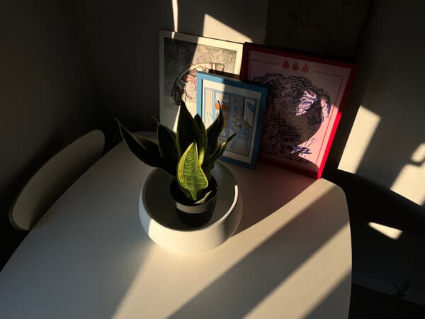 La luz de mi casa La luz de mi casa